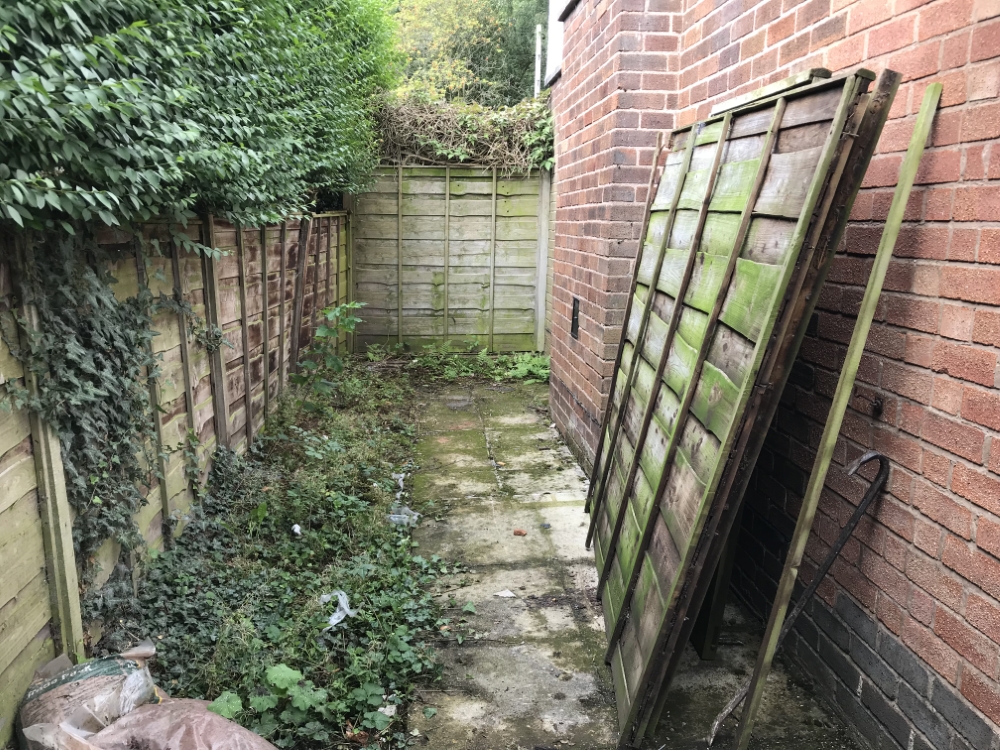 Overgrown side garden before maintenance work