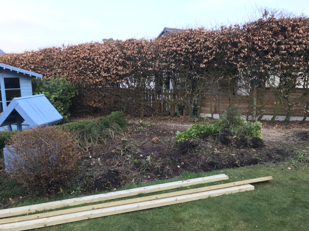 Garden during hedge cutting and border preparation