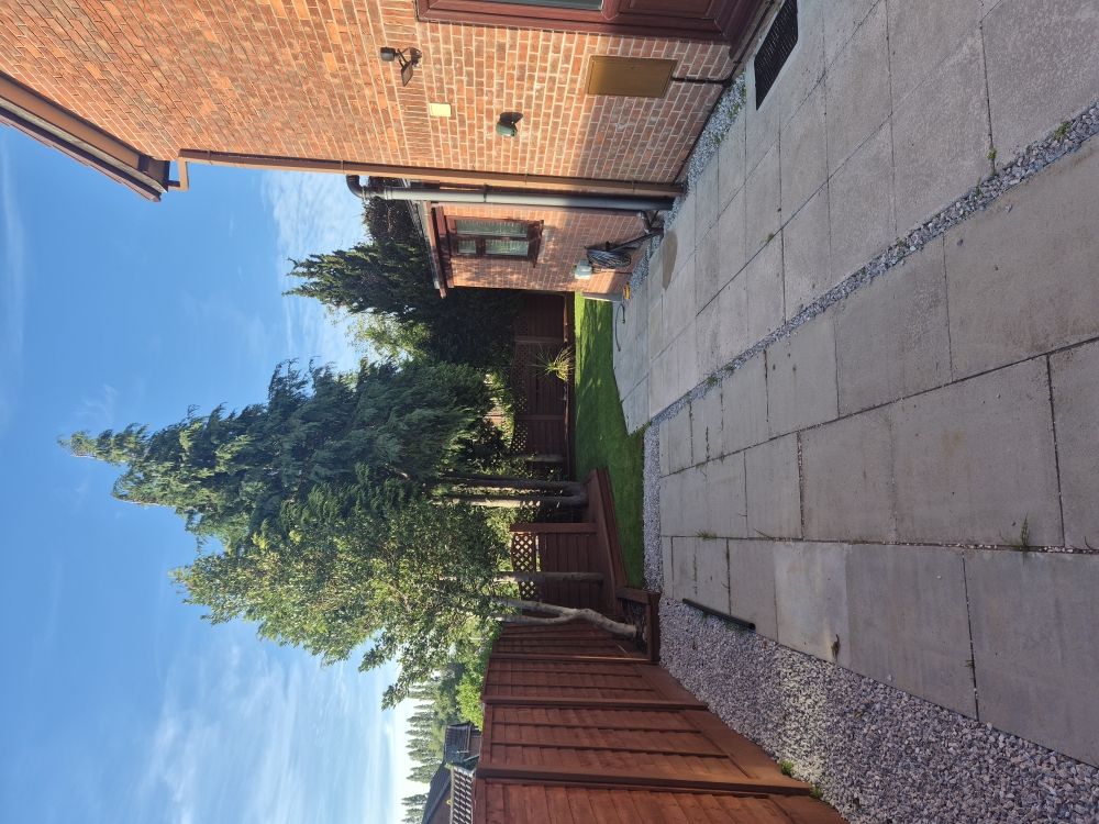 Finished garden with lawn, trees and tidy paved area