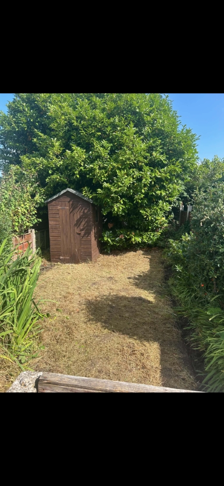 Garden lawn after cutting and tidying