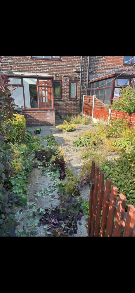 Garden during plant and border clearance