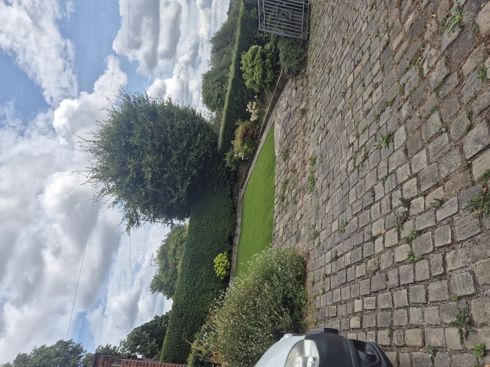 Maintained lawn, hedges and garden borders