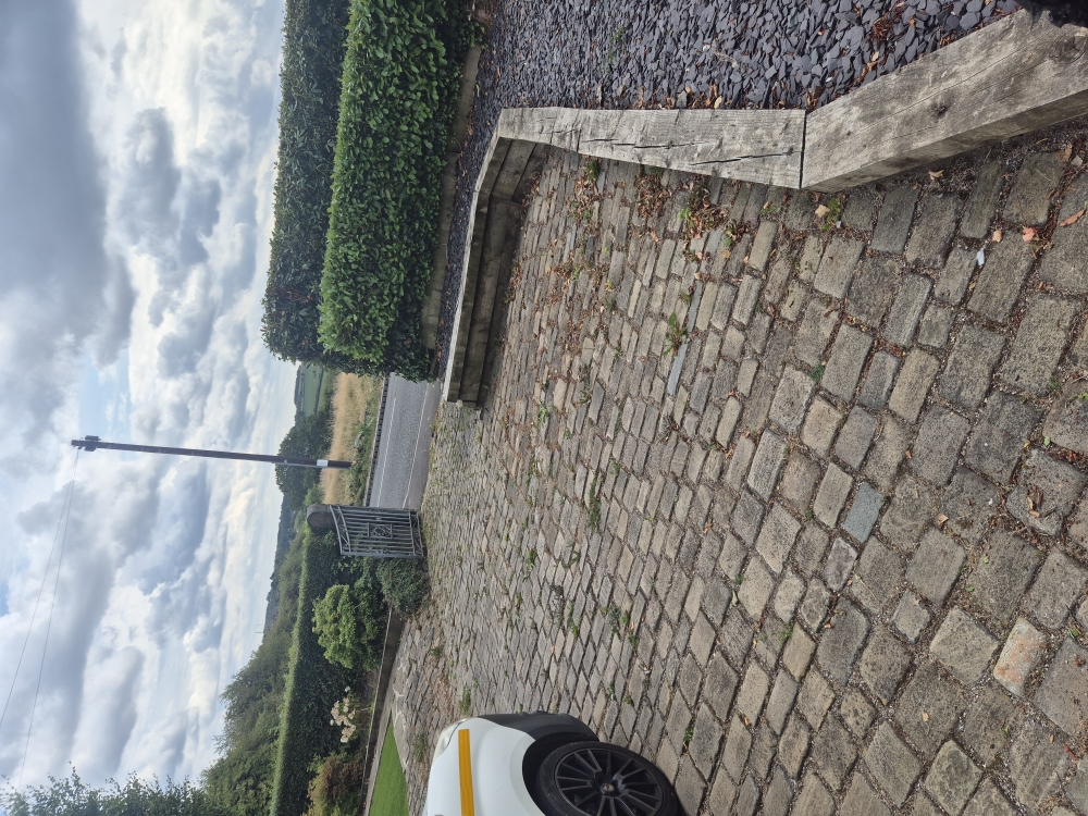 Driveway and hedges after maintenance